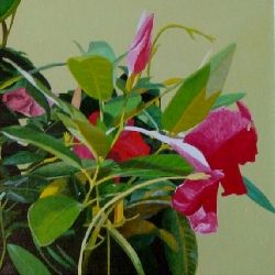 Iberflora 2